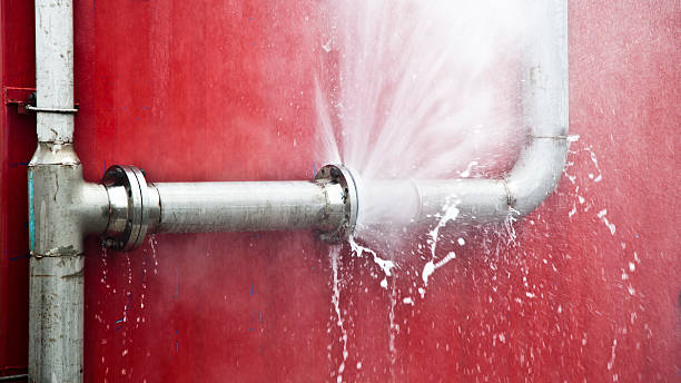 Best Flood restoration services  in Belmont, NC